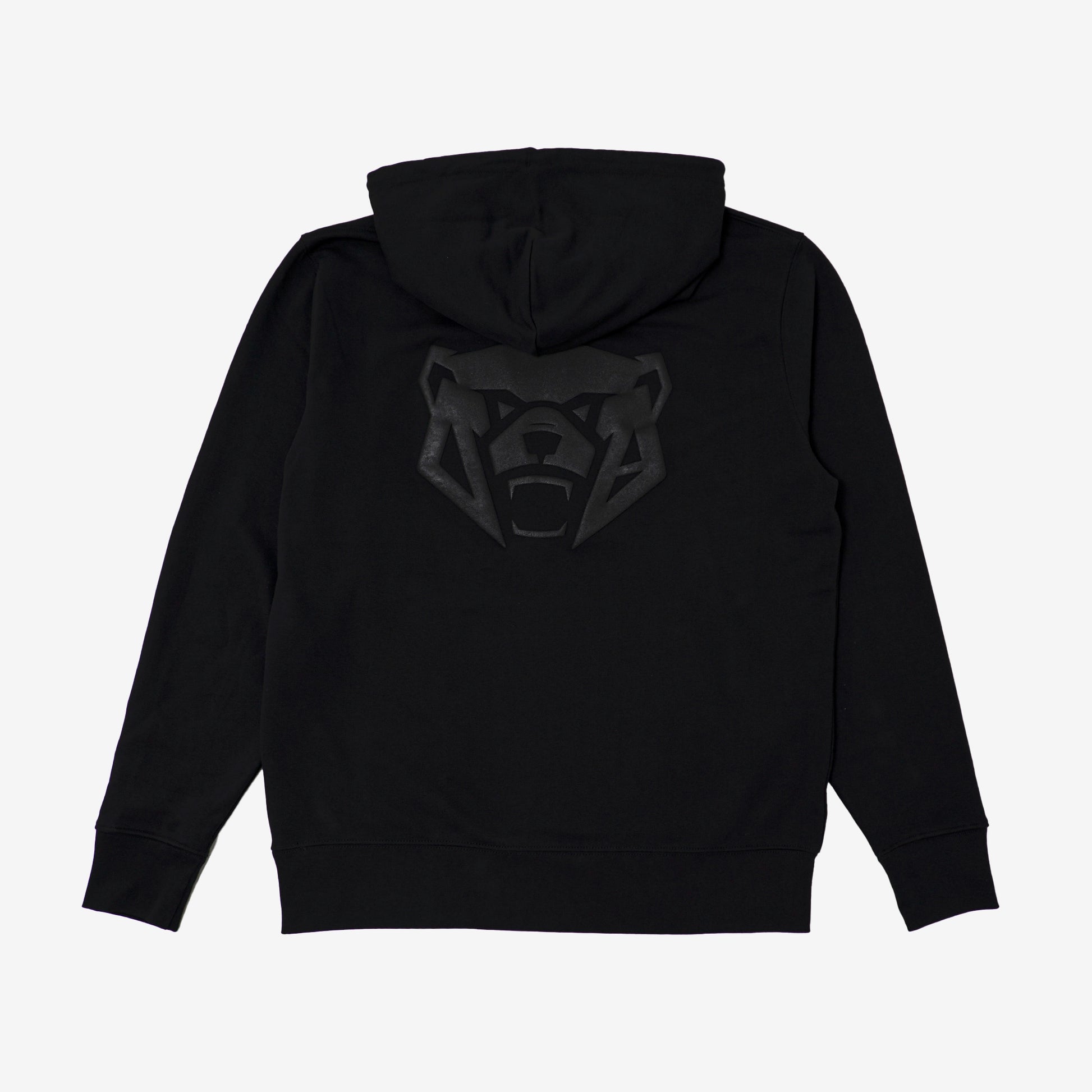 Hoodie-Rear.webp?v=1746627935&